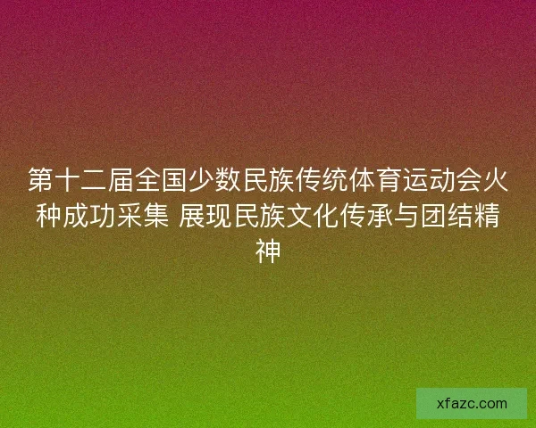第十二届全国少数民族传统体育运动会火种成功采集 展现民族文化传承与团结精神 第十二届全国少数民族传统体育运动会火种成功采集 展现民族文化传承与团结精神